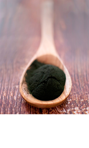 vitalfood spirulina algen